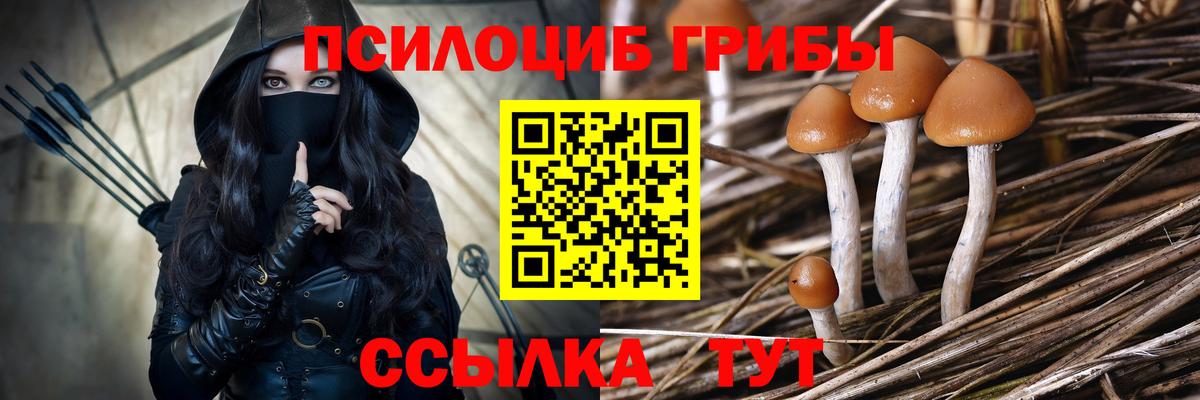 МЕФ кристаллы  Зеленогорск  MDMA  Вход с VPN  МАРИХУАНА 