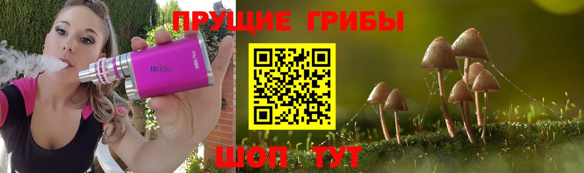 Псилоцибиновые грибы Magic Shrooms  купить   Зеленогорск  Псилоцибиновые грибы Psilocybine cubensis  Вход с VPN 