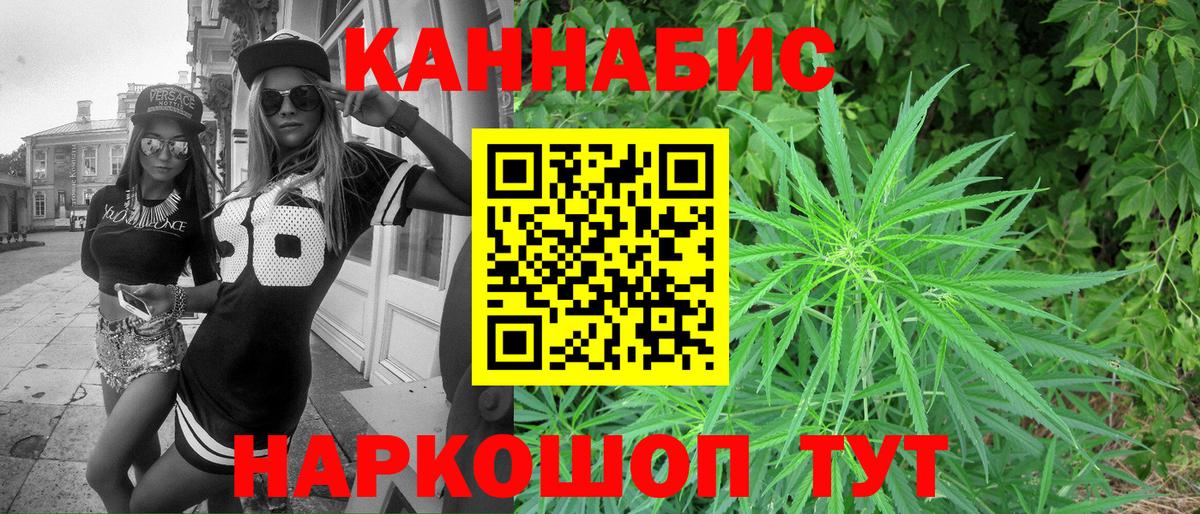 Марихуана план  Марихуана сатива  Зеленогорск  Вход с VPN 